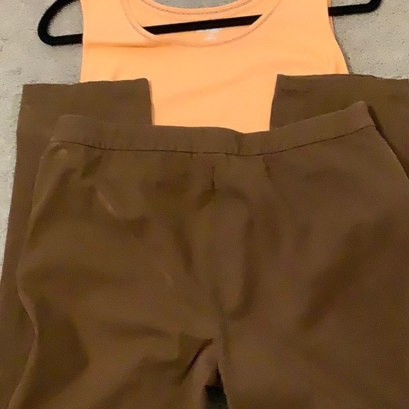 ❤️RAFAELLA classic rusty brown size 10P pants - Picture 3 of 7